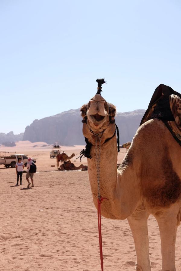 Wadirum Momoo ワディ ・ラム エクステリア 写真